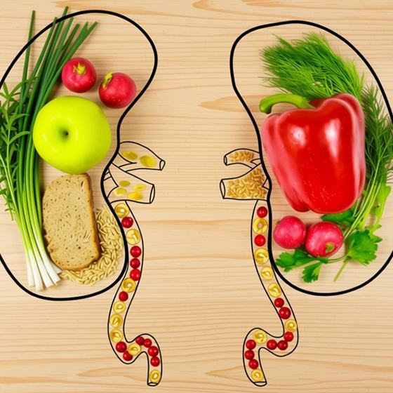 Renal Dietitian in Kolkata | Dt. Uma Bajoriaa Renal Dietitian in Kolkata | Dt. Uma Bajoriaa